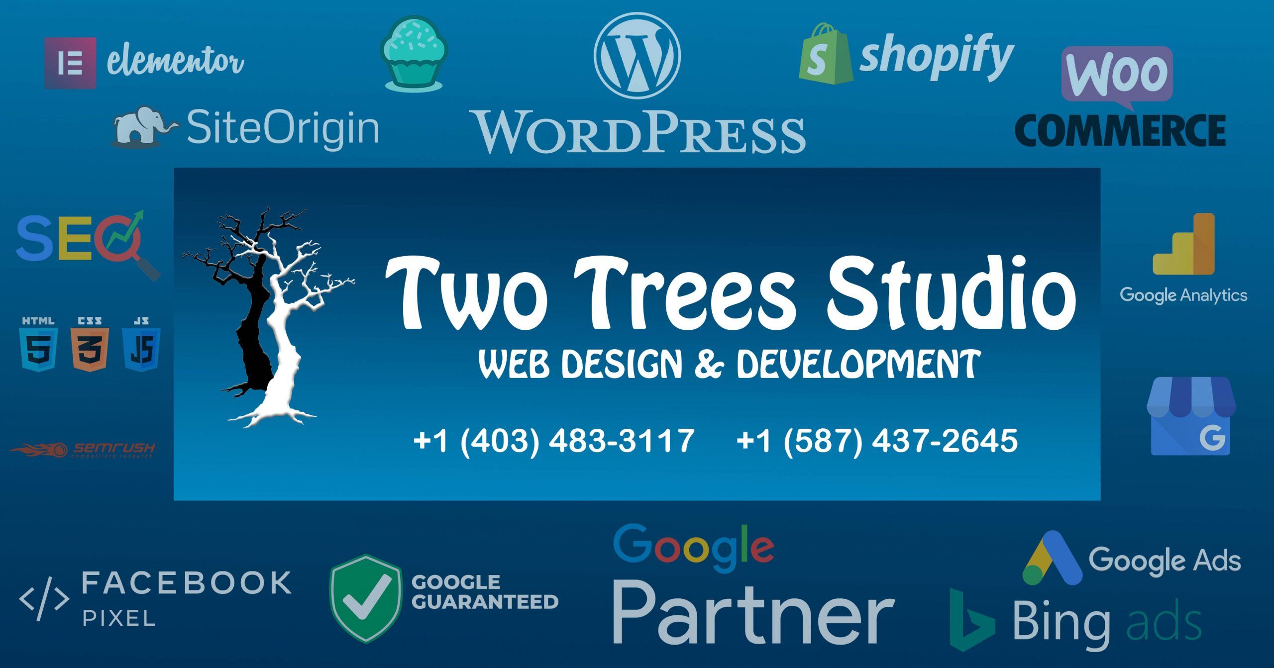 Two Trees Studio - Web Design & Development Vncouver